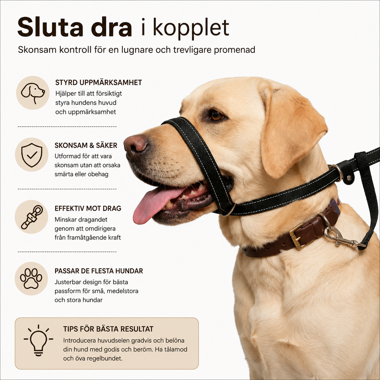LugnTass™ – Lugna promenader med full kontroll