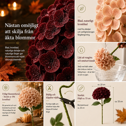 EvigBlom™ | Naturtrogen elegans som håller år efter år