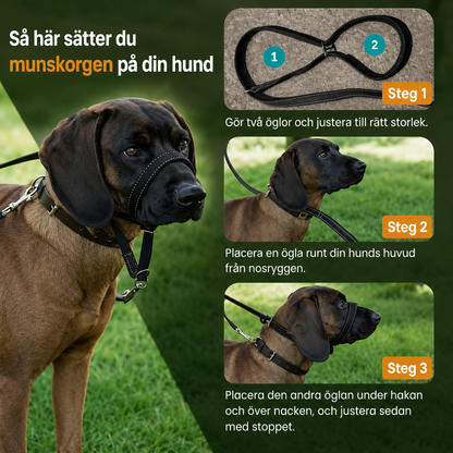 DragFri™ – Slipp dragandet, njut av promenaden