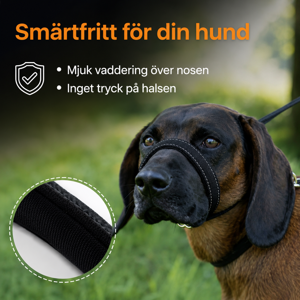 LugnTass™ – Lugna promenader med full kontroll