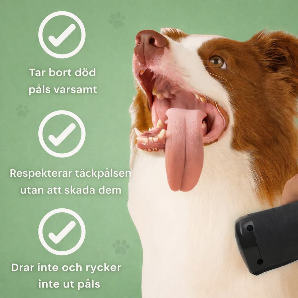 VinterTass™ – Skonsam borstning som din hund faktiskt njuter av.