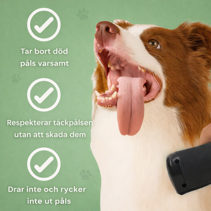 VinterTass™ – Skonsam borstning som din hund faktiskt njuter av.