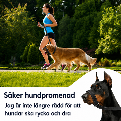 DragFri™ – Slipp dragandet, njut av promenaden