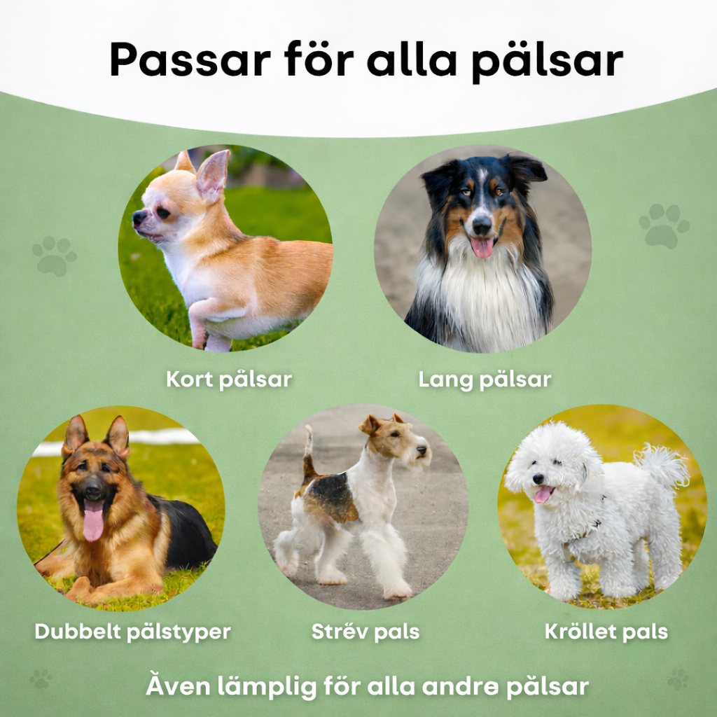 VinterTass™ – Skonsam borstning som din hund faktiskt njuter av.