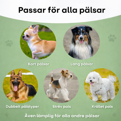 VinterTass™ – Skonsam borstning som din hund faktiskt njuter av.