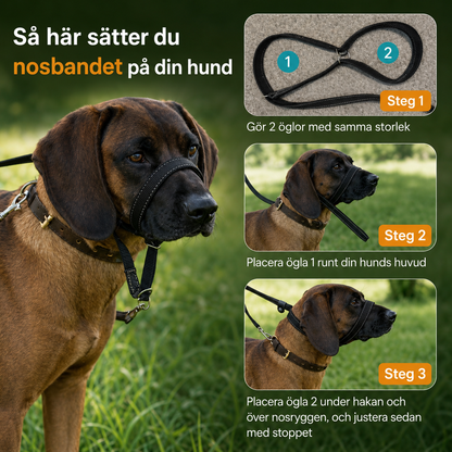 LugnTass™ – Lugna promenader med full kontroll