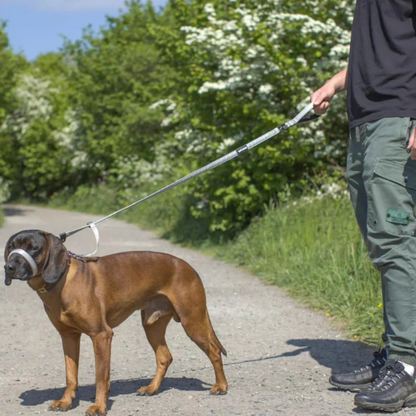 DragFri™ – Slipp dragandet, njut av promenaden