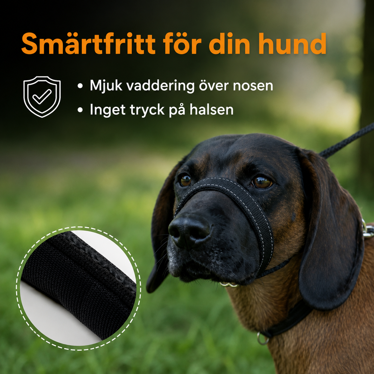DragFri™ – Slipp dragandet, njut av promenaden