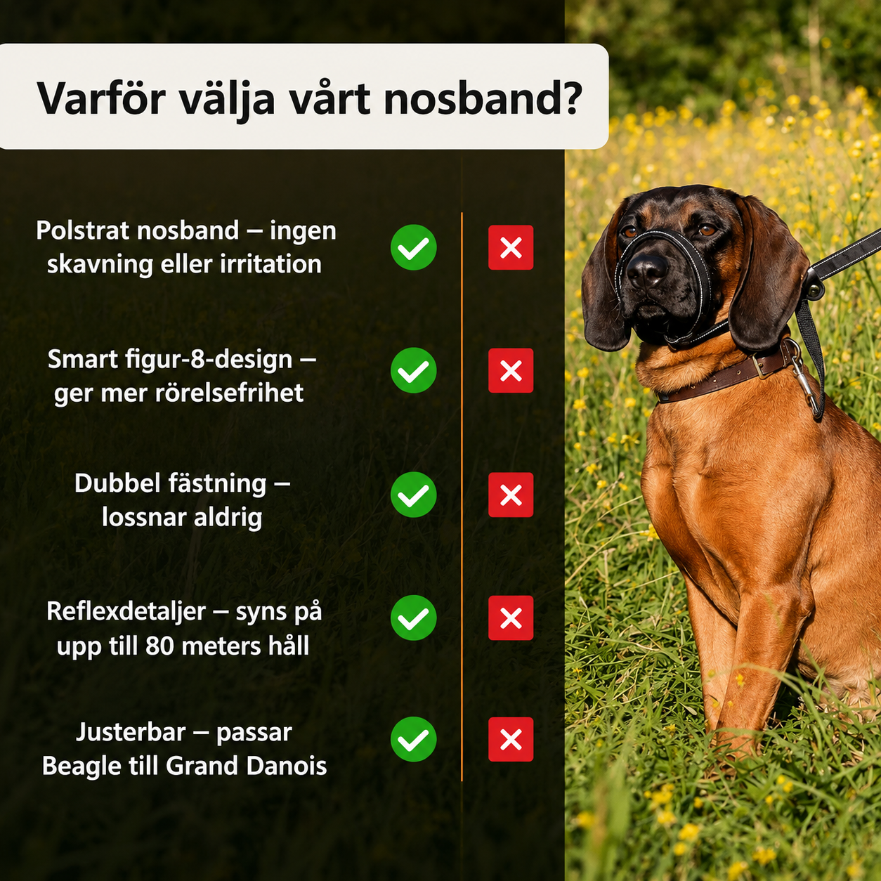 LugnTass™ – Lugna promenader med full kontroll