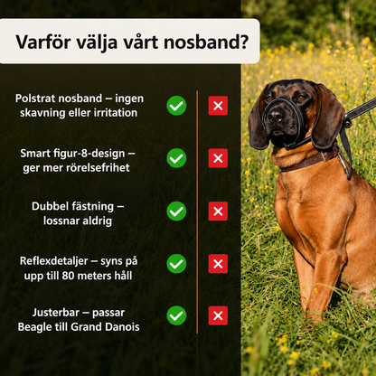 LugnTass™ – Lugna promenader med full kontroll