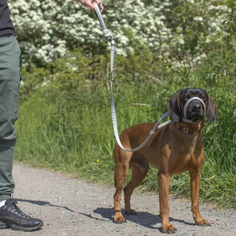 LugnTass™ – Lugna promenader med full kontroll