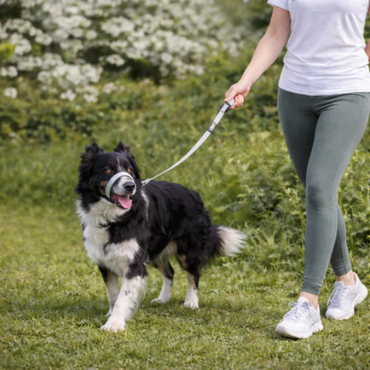 DragFri™ – Slipp dragandet, njut av promenaden