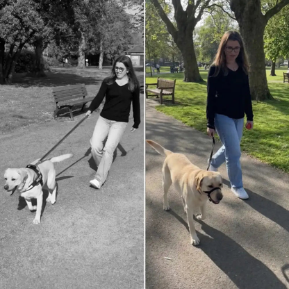 LugnTass™ – Lugna promenader med full kontroll
